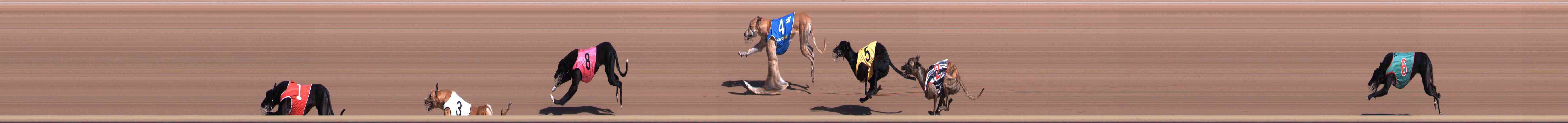 Race result finish photo